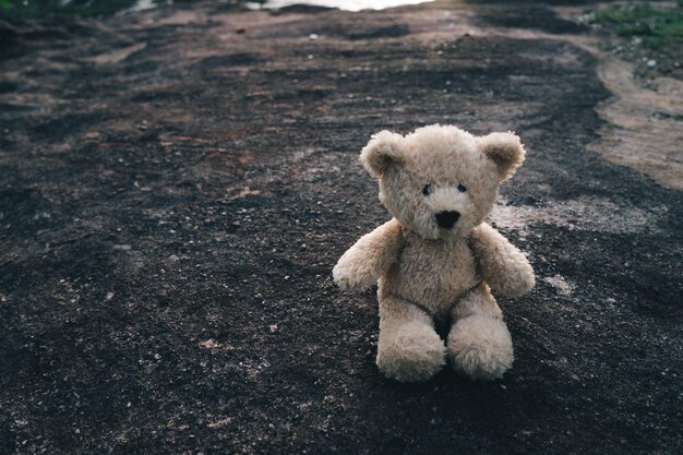 Foto osos de peluche en el campo