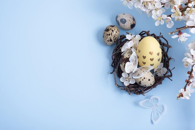 Oster-Eggs im Nest mit Blütenzweigen und Schmetterlingen auf blauem Hintergrund mit Kopierraum