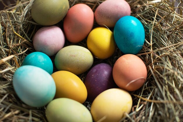 Osterdekoration Bunte Ostereier in einem Nest