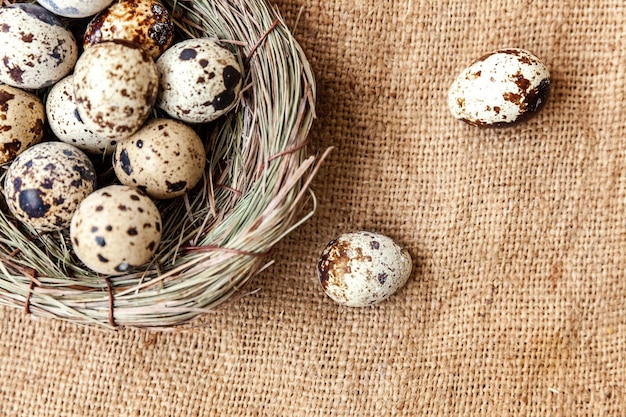 Osterdekoration mit Ei im Nest auf weißem Marmorhintergrund