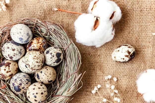 Osterdekoration mit Ei im Nest und Baumwolle auf weißem Marmorhintergrund