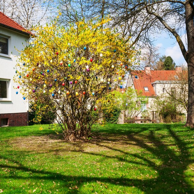 Ostereier am Forsythienbaum