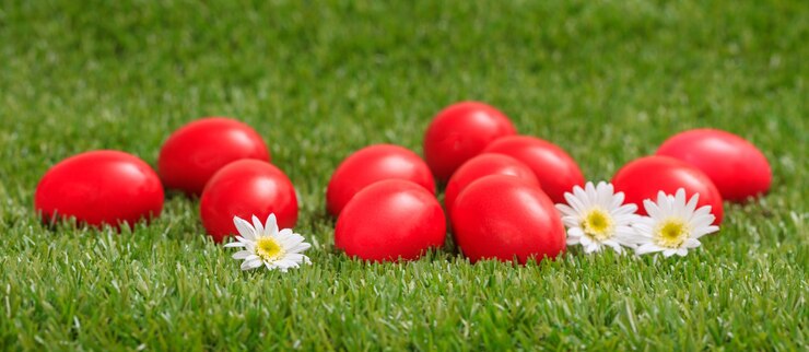 Ostereier und weiße Gänseblümchen auf grünem Gras Nahaufnahme