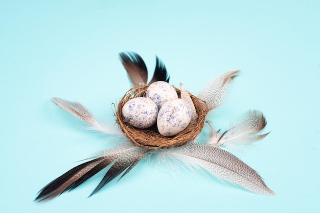 Osterfeiertagshintergrund, Nest mit kleinen Eiern, Weidenzweige, Grußkarte, Frühling