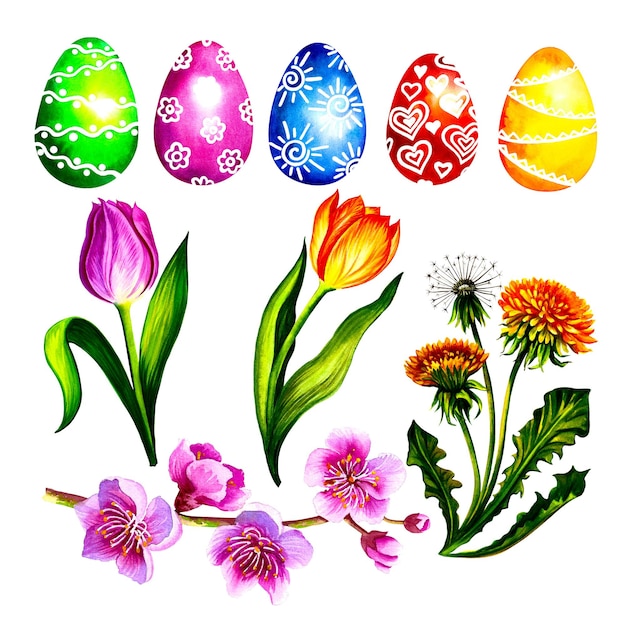 Osterfrühlingsset mit farbigen Eiern und Frühlingsblumen. Aquarell-Illustration.