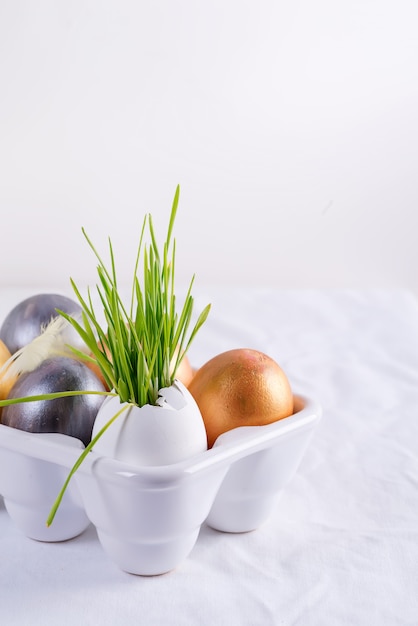 Ostergras wächst in Eierschalen- und Ostereiern