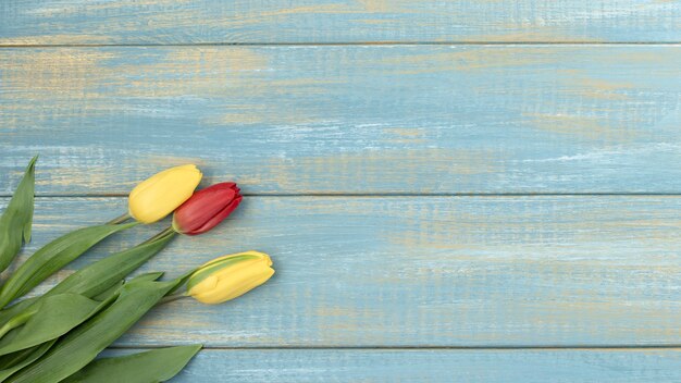 Ostergrußkarte mit Frühlingstulpenblumen über hölzernem Hintergrund. Draufsicht flach lag mit Kopierraum