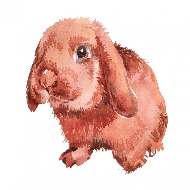 Osterhase der Aquarellillustration