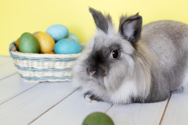 Osterhase mit bunten Eiern in einem Korb auf gelbem Hintergrund