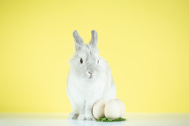 Osterhase mit Ei auf gelbem Hintergrund. Das Konzept der Osterferien