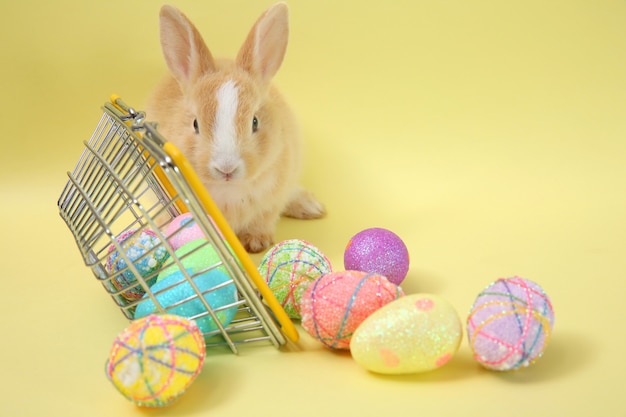 Osterhase mit gemaltem Ei im hölzernen Korb