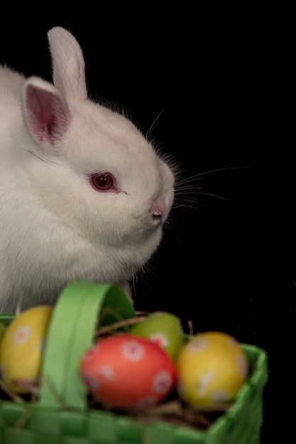 Osterhase mit grünem Korb von Eiern