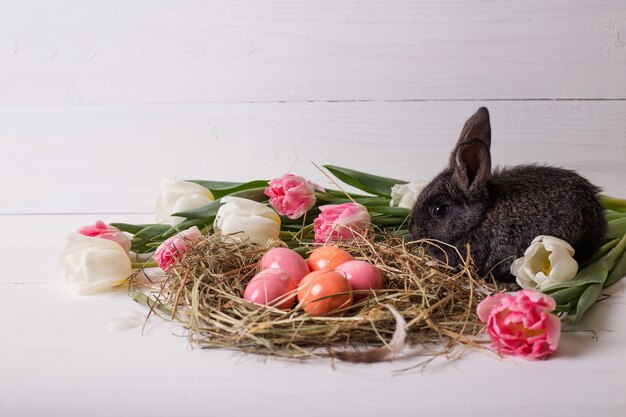 Osterhase mit Ostereiern mit Tulpen und einem Heunest. Positive Frühlings-Osterkomposition.