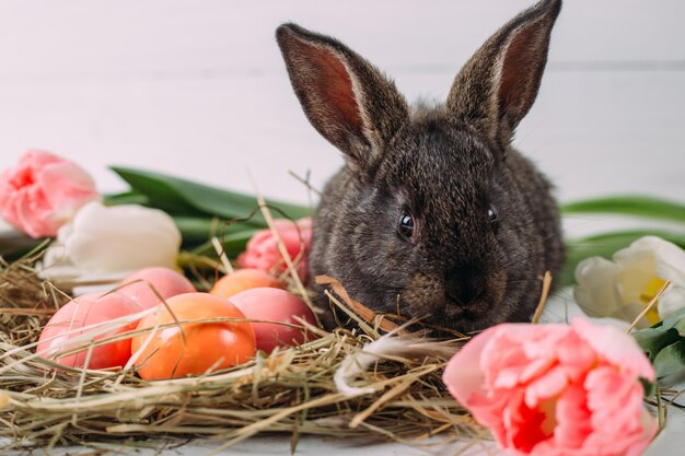 Osterhase mit Ostereiern mit Tulpen und einem Heunest. Positive Frühlings-Osterkomposition.