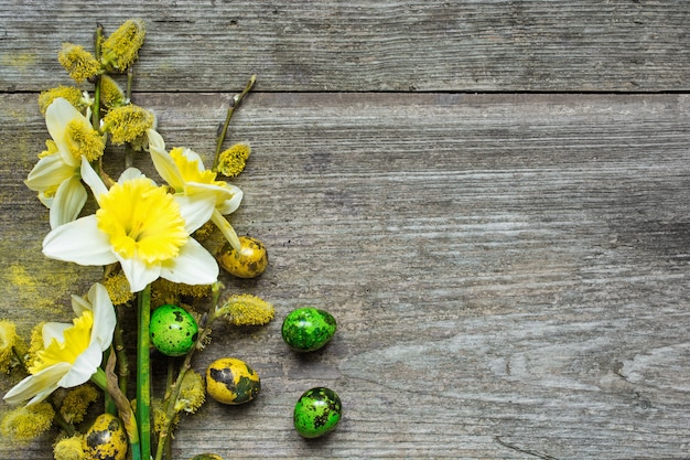 Osterhintergrund mit Ostereiern und Frühlingsnarzisse und Willo