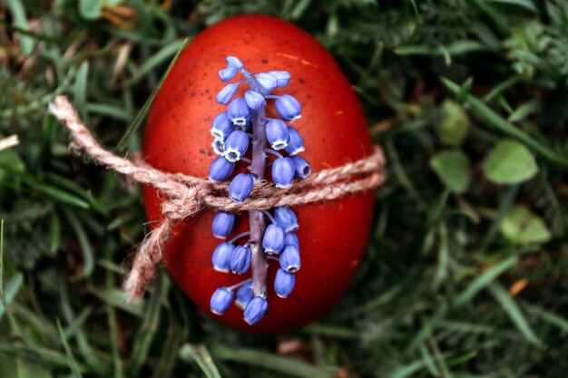 Osterhintergrund, rotes Osterei verziert mit blauer Blume. auf hellem Naturrasenhintergrund.