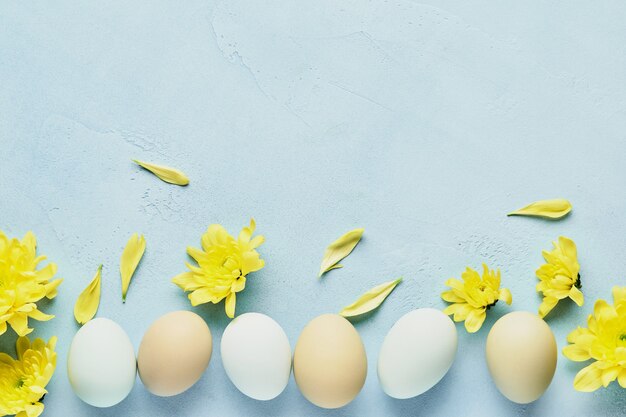 Osterkonzept. Eier und gelbe Chrysanthemenblumen auf blauem Hintergrund. Draufsicht.