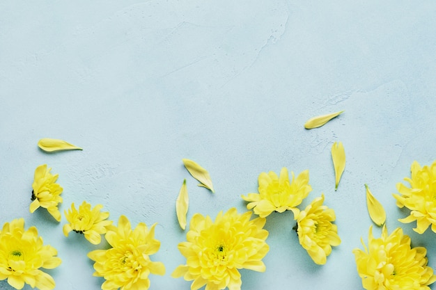 Osterkonzept. Eier und gelbe Chrysanthemenblumen auf blauem Hintergrund. Draufsicht.