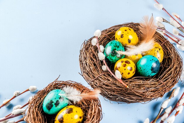 Ostern mit Vogelnestern, mit Eiern und Frühlingsblumen Weidenkätzchen, blau