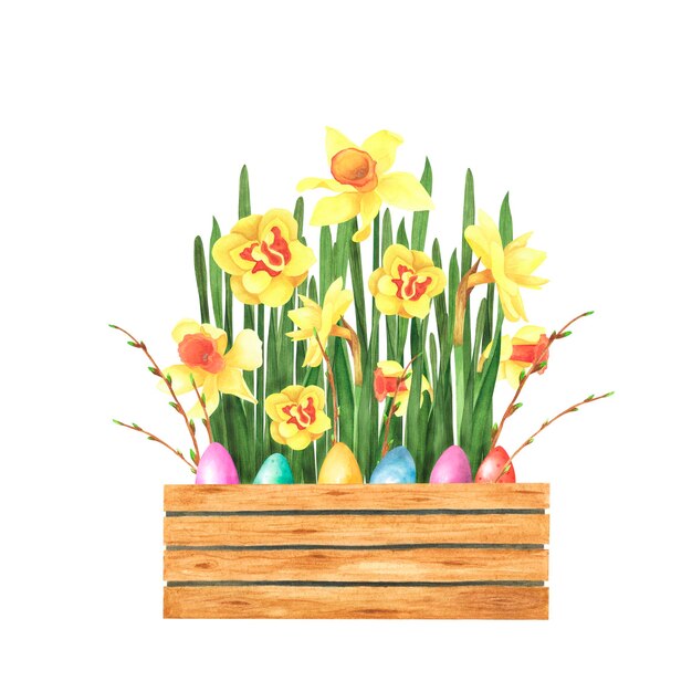 Ostern-Narzissenblumenstrauß im Holztopf mit farbigen Eiern lokalisiert auf Weiß Aquarellhandzeichnungsillustration