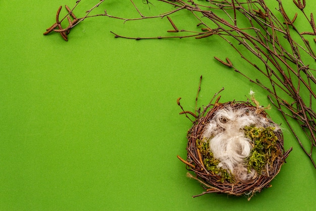 Ostern Null Abfall Dekor, DIY-Konzept. Gestaltungselement und Dekor. Vogelnest, Moos, Birkenzweige, Feder. Grüner Hintergrund