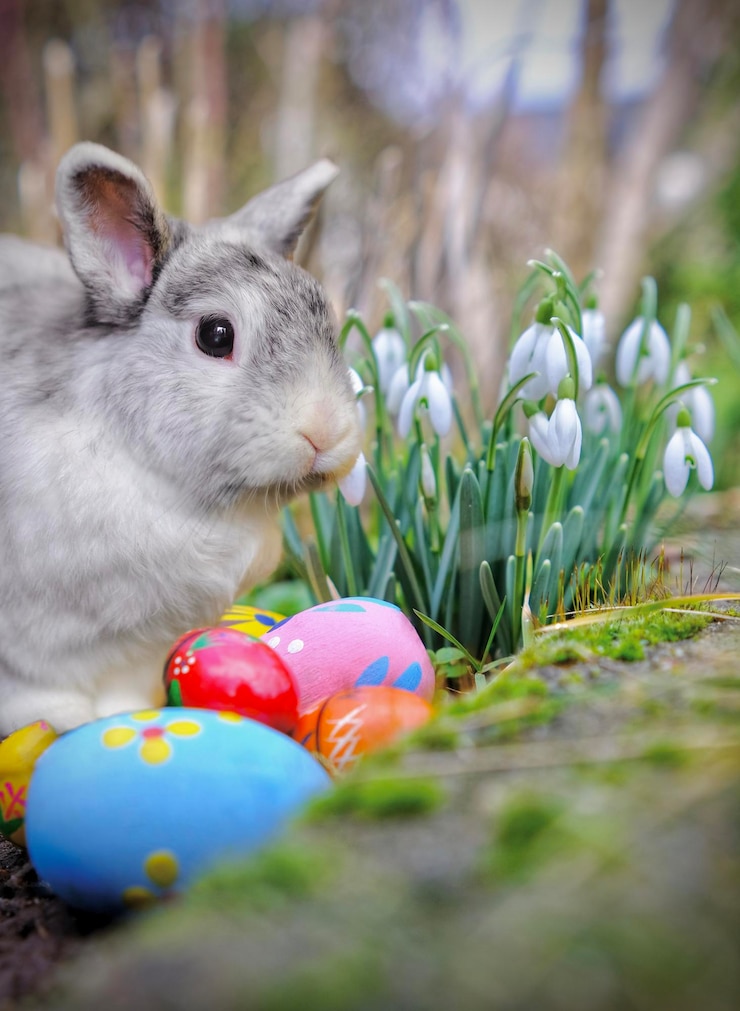 Foto ostern osterhase östlicher ostern bunny