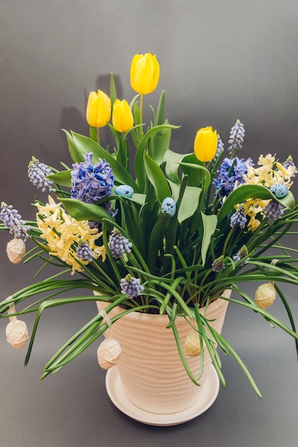 Ostern-Zusammensetzung von Frühlingsblumen mit Eiern. Gelbe Tulpen, Hyazinthen, blaue Muscari wachsen im Topf auf grauem Hintergrund. Feiertagsdekoration.