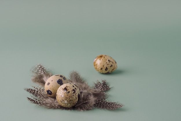 Osternest aus Federn mit Wachteleiern auf blauem Hintergrund, Nahaufnahme. Osterkomposition in Pastellfarben. Natürlicher Osterhintergrund, kreatives Layout.