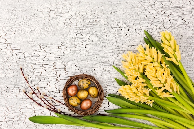 Osterwand mit Ostereiern und gelben Blumen. Speicherplatz kopieren, Draufsicht