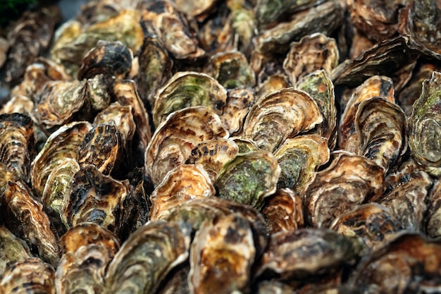 Ostras à venda no mercado de frutos do mar o mercado do peixe fica cheio de ostras frescas.