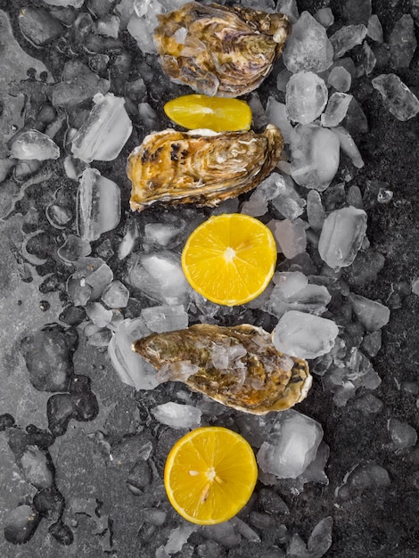 Ostras cruas frescas no gelo com fatias de limão molusco do Oceano Atlântico