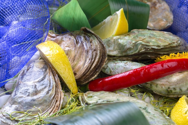 Ostras crudas con limón y hielo