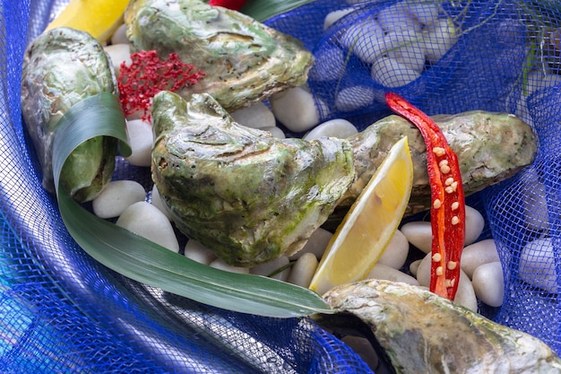 Ostras crudas con limón y hielo