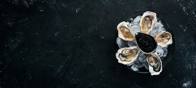 Ostras e caviar preto em um prato de gelo e limão frutos do mar vista superior espaço para texto grátis