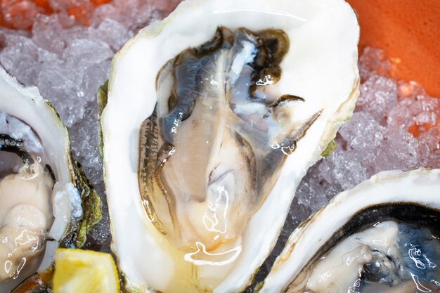 Foto ostras frescas en un bol con hielo, limón y salsa