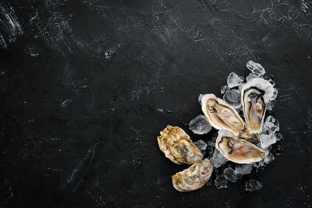 Ostras con hielo y limón sobre fondo de piedra negra Mariscos Vista superior Espacio de copia libre