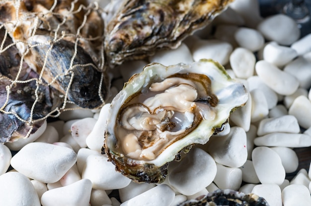 Ostras sabrosas en piedras blancas. Mariscos crudos.