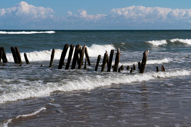 Ostsee und hölzerne Wellenbrecher am Strand der Kurischen Nehrung Gebiet Kaliningrad Russland