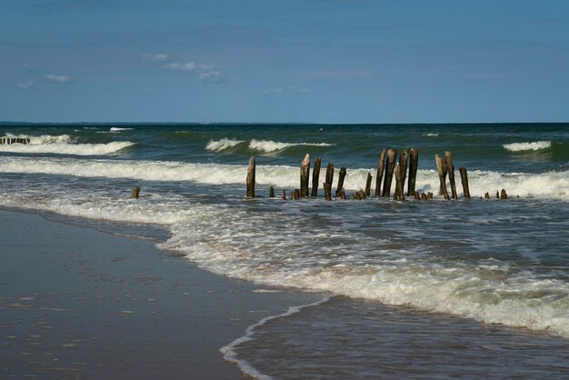 Ostsee und hölzerne Wellenbrecher am Strand der Kurischen Spitze an einem Sommertag in der Region Kaliningrad, Russland