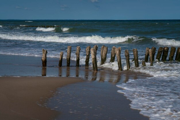 Ostsee und hölzerne Wellenbrecher am Strand der Kurischen Spitze an einem Sommertag in der Region Kaliningrad, Russland