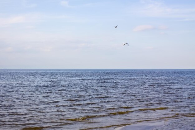 Ostseeküste an einem windigen Frühlingstag Jurmala Lettland