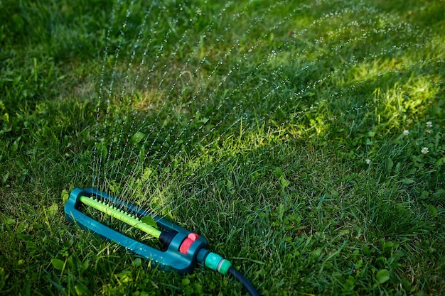 Oszillierender Gartensprinkler, der Wasser über grünes Gras im Hausgarten, Sommer oder Frühling sprüht