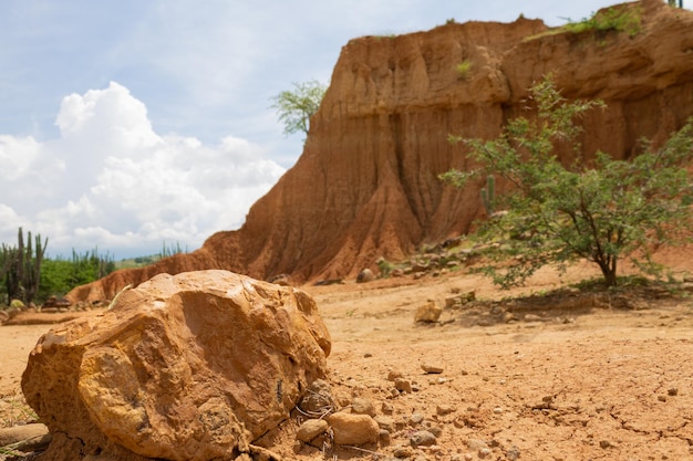 Otange-Stein und sandiger Berg mit Wildpflanzen