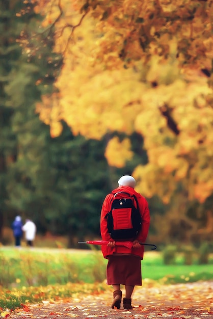 otoño en alemania / parque de la ciudad en europa, alemania paisaje otoñal