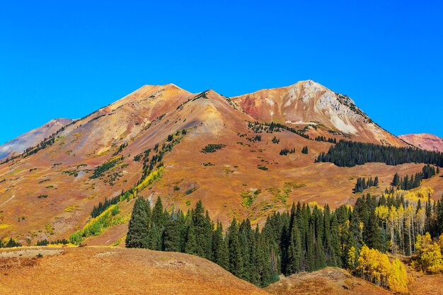 Otoño amarillo colorido en Colorado, Estados Unidos. Temporada de otoño.