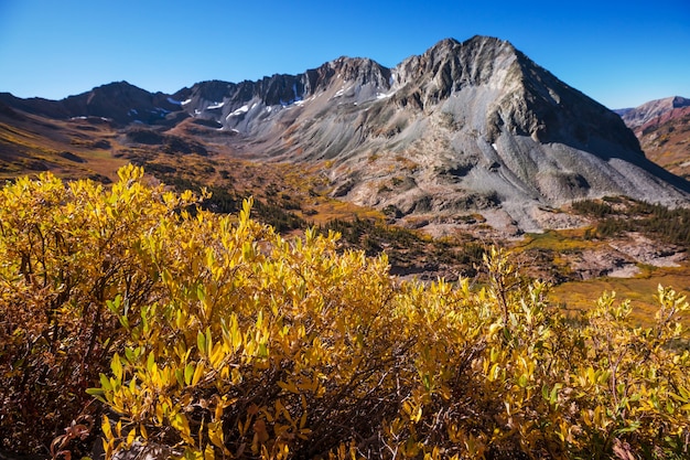 Foto otoño amarillo colorido en colorado, estados unidos. temporada de otoño.