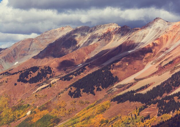 Foto otoño amarillo colorido en colorado, estados unidos. temporada de otoño.