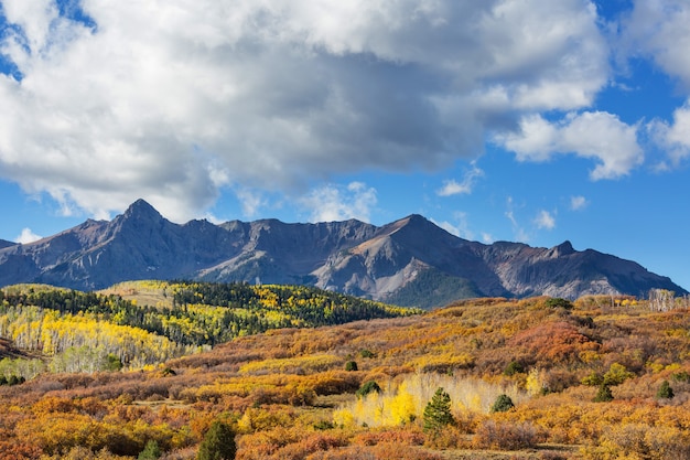 Otoño amarillo colorido en Colorado, Estados Unidos. Temporada de otoño.