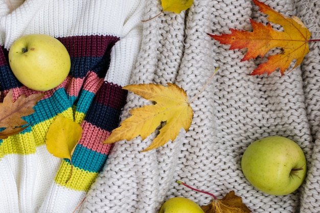 Otoño aplanada. las manzanas y las hojas de otoño yacen sobre un suéter de lana.