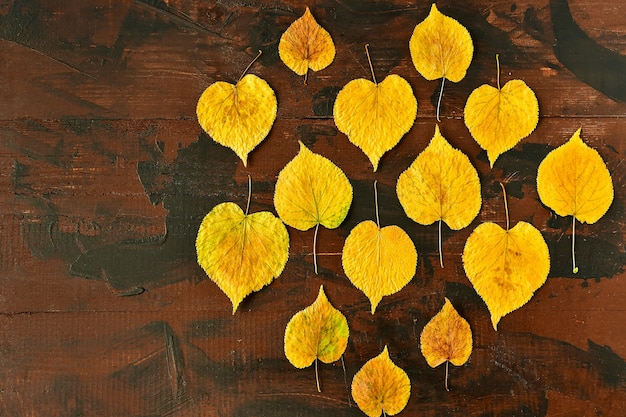 otoño árbol amarillo deja en una mesa de madera hola otoño